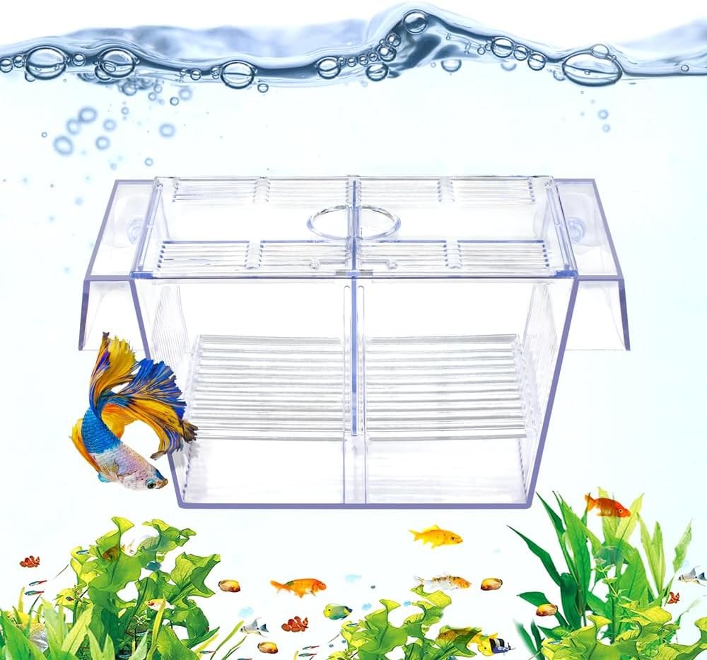 DaToo Fish Breeding and Isolation Box