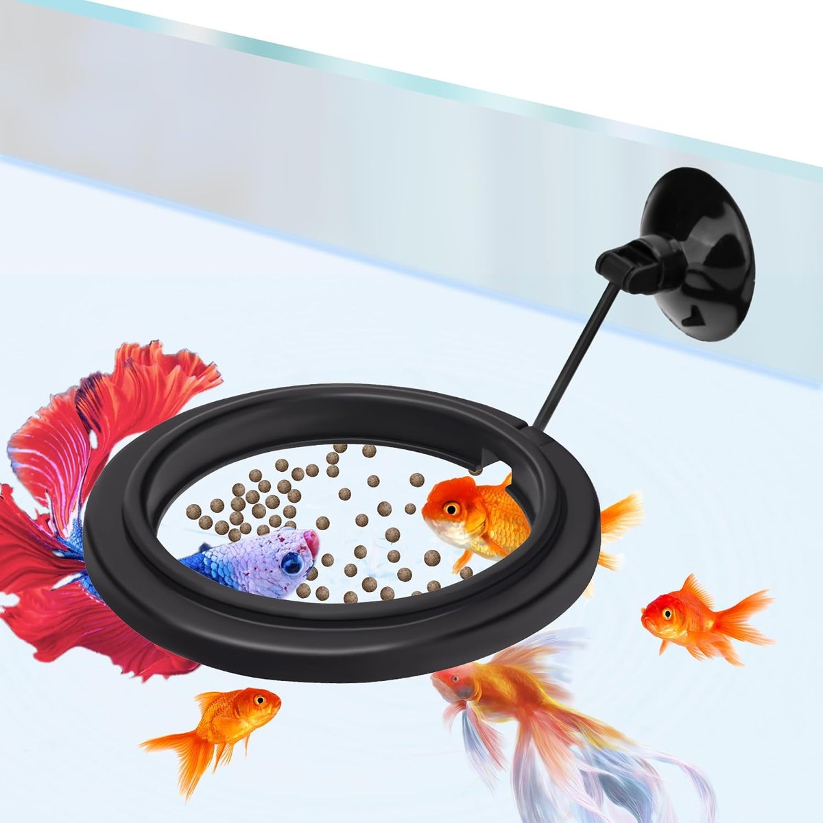 DaToo Round Mini Feeding Ring