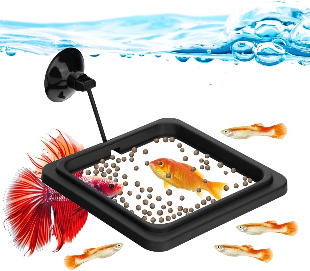 DaToo Square Floating Feeding Ring